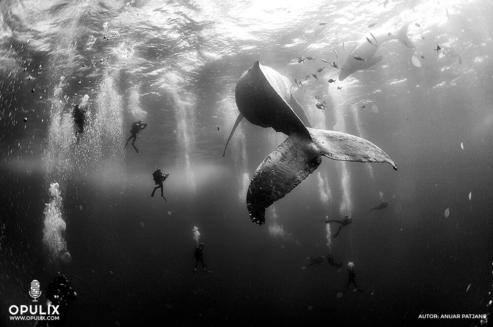 Las fotos más impactantes del 2016 Las fotos más impactantes del 2016