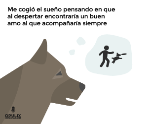 Vida de Perros Vida de Perros