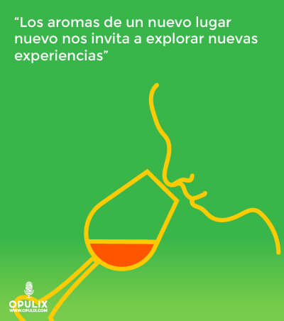 Viaje a través de los 5 sentidos Viaje a través de los 5 sentidos