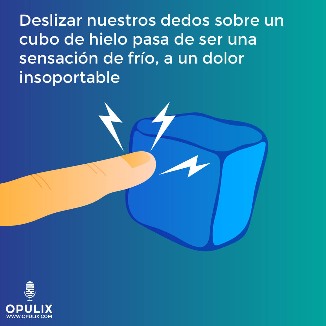 Sentimientos encontrados o quizás perdidos Sentimientos encontrados o quizás perdidos