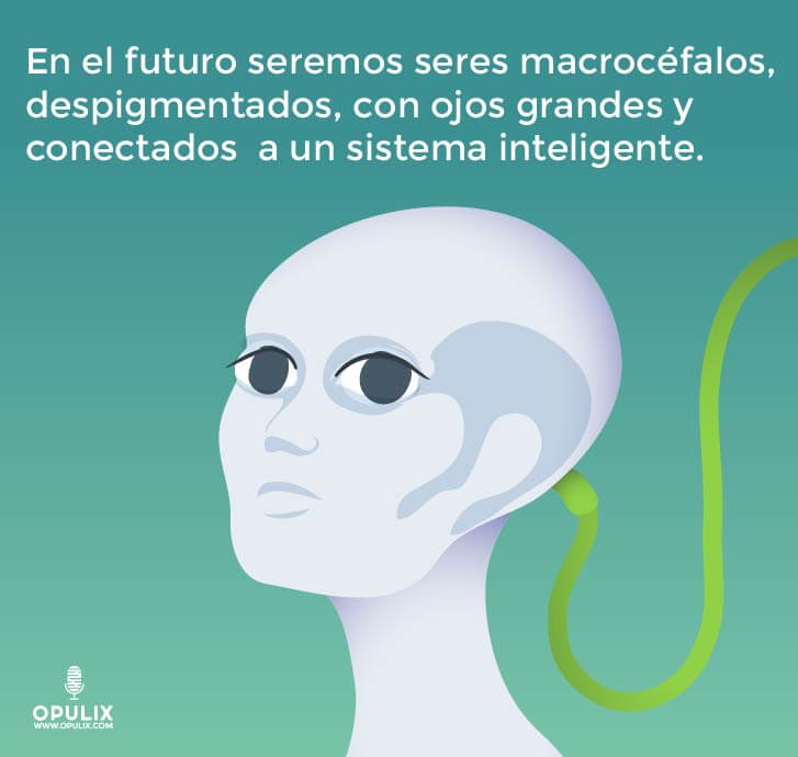 Humanos Humanos
