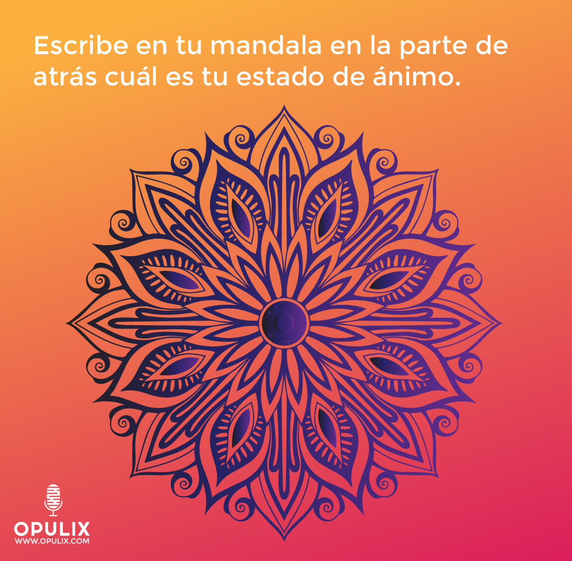 mandalas mandalas