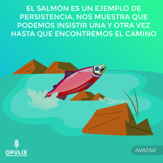 El Camino Es Difícil Pero Siempre Se Puede Despejar El Camino Es Difícil Pero Siempre Se Puede Despejar