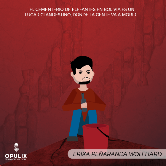 El cementerio de elefantes en Bolivia es un lugar clandestino, donde la gente va a morir.