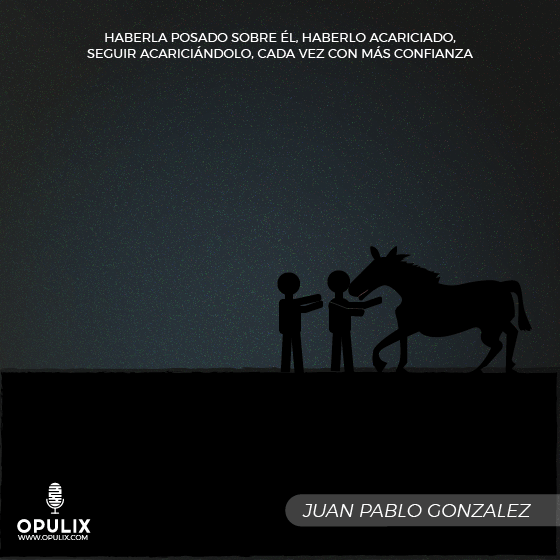 Anónimo Anónimo